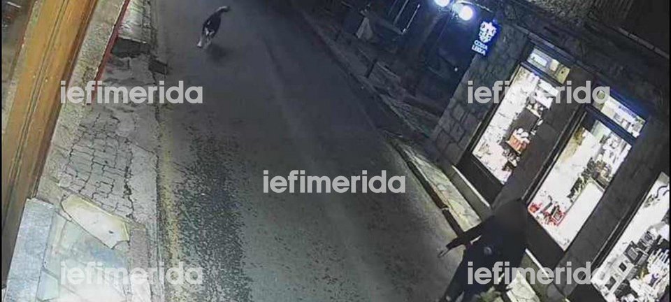 Φωτό: Ανδρας περπατά σε μικρή απόσταση από το χάσκι, τη νύχτα της κακοποίησης