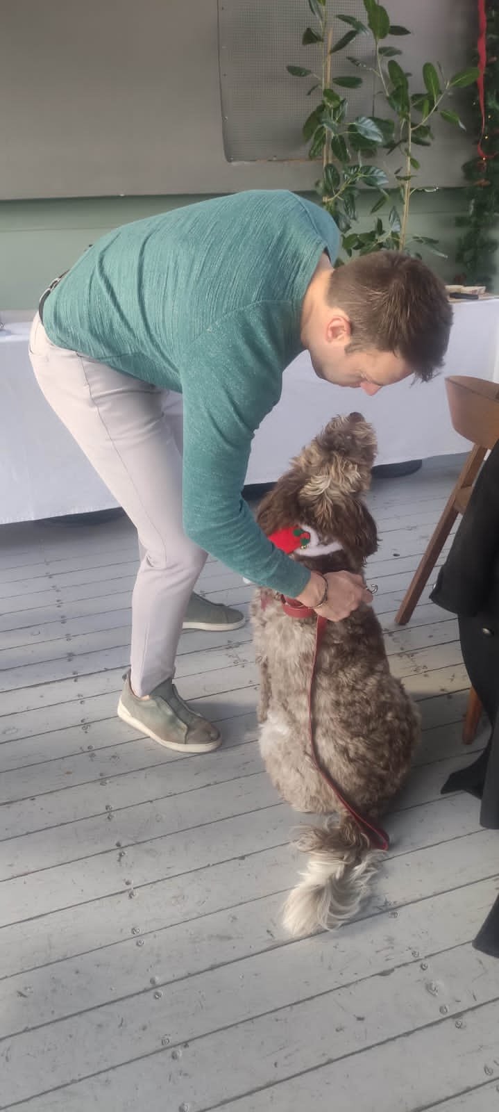 Για καφέ και κρασί με τους δημοσιογράφους ο Κασσελάκης -Μαζί και η Φάρλι με σκουφάκι Αγιου Βασίλη [εικόνες]