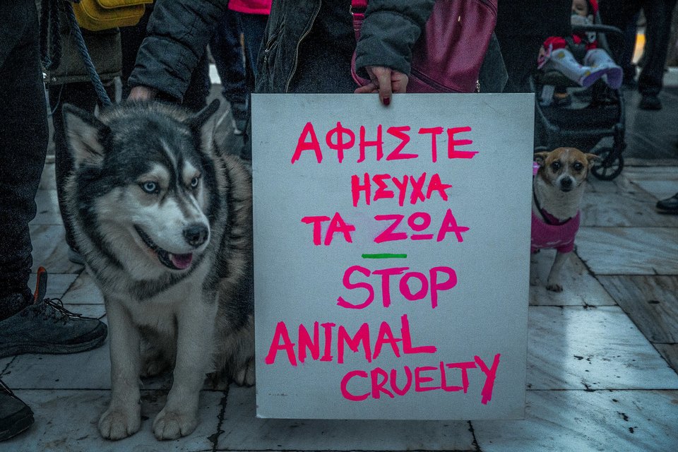 Πορεία στο Σύνταγμα κατά της κακοποίησης των ζώων / Φωτογραφία EUROKINISSI