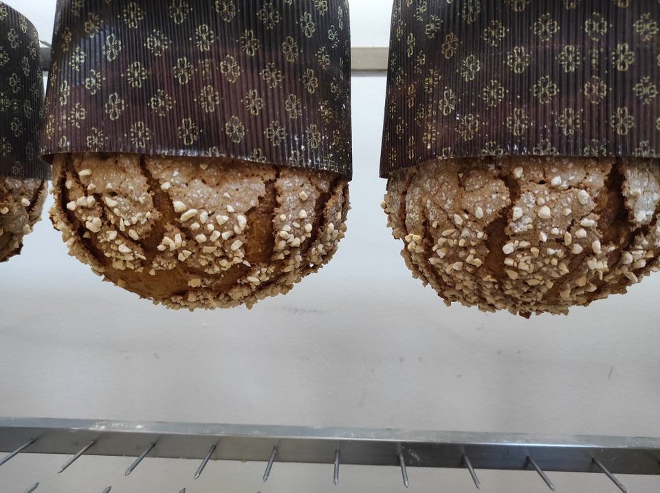 Το panettone το κρεμάνε ανάποδα, όπως κάνουν στην Ιταλία, για τουλάχιστον 5 ώρες. Φωτογραφία: Χριστίνα Ζάχου/ iefimerida