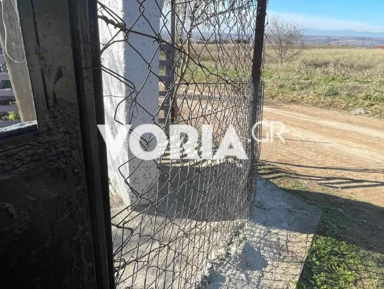 Η περίφραξη του σπιτιού του 37χρονου ιδιοκτήτη των σκύλων στη Θεσσαλονίκη / voria.gr