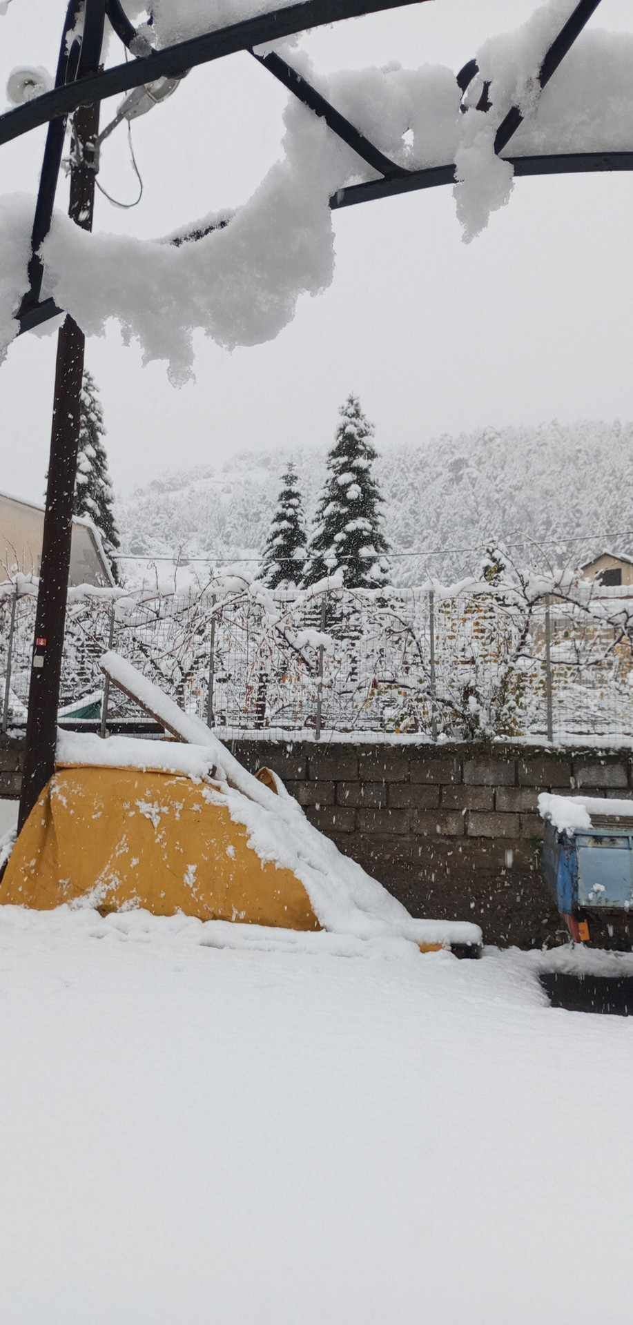 Φωτογραφία: iefimerida.gr