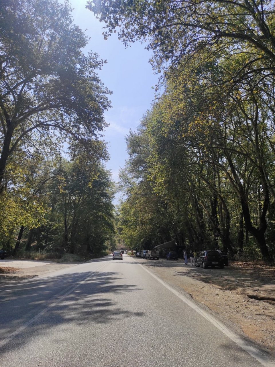 Στο δρόμο της εθνικής Τρικάλων- Ιωαννίνων για να ανέβουμε στα ορεινά χωριά της Καλαμπάκας/Φωτογραφία: Χριστίνα Ζάχου για iefimerida.gr