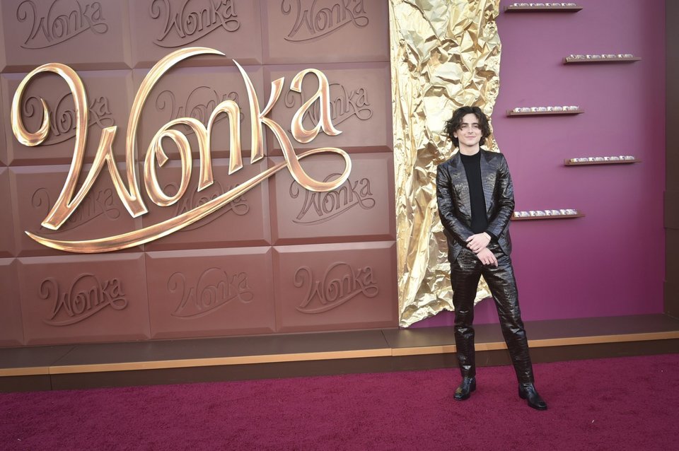 Ο Τιμοτέ Σαλαμέ στην πρεμιέρα του Wonka