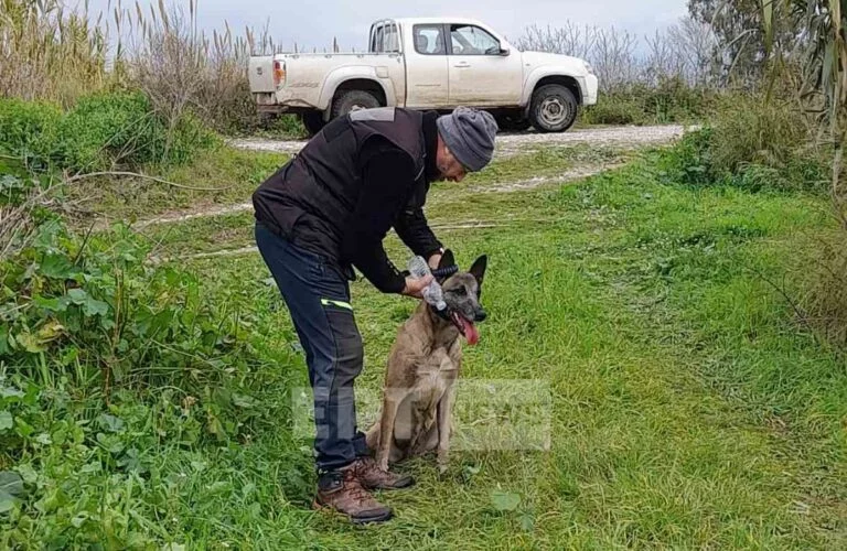 O εκπαιδευμένος σκύλος που βοήθησε στην ανεύρεση της σορού του Μπάμπη Κούτσικου / Φωτογραφία: ERTnews