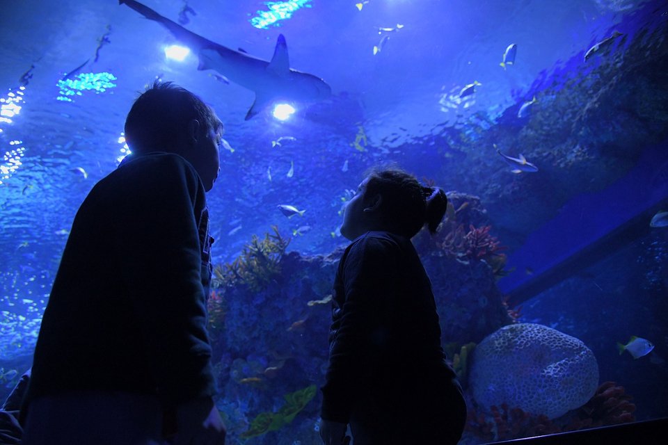 Εκδήλωση παράδοσης δώρων από τα Ευχοστολίδια&nbsp; 