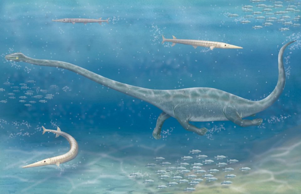 Απεικόνιση του Dinocephalosaurus orientalis, όπως αποκαλείται το ερπετό, που χρονολογείται πριν από 240 εκατομμύρια χρόνια και το απολίθωμα του οποίου ανακαλύφθηκε σε αρχαία κοιτάσματα ασβεστόλιθου στην επαρχία Γκουϊζού της νότιας Κίνας / Carin L. Cain / AAAS