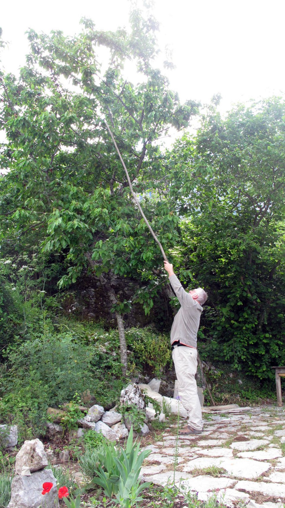 Μετά από επισκέψεις στα Ζαγόρια τη δεκαετία του ‘80, ο κ. Ανίρ αγόρασε με την σύζυγό του Φράνσις, ένα μικρό αγροτόσπιτο στην άκρη του Μικρού Πάπιγκου