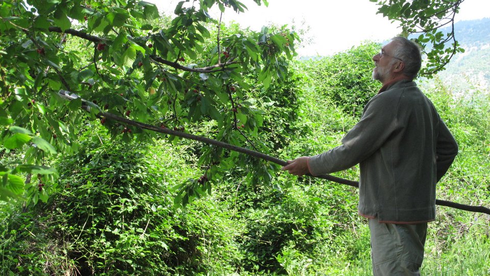 Συλλέκτης αυτών των ηχοτοπίων στο Ζαγόρι της Unesco είναι εδώ και 25 χρόνια ο 73χρονος Αγγλος Πίτερ Ανίρ