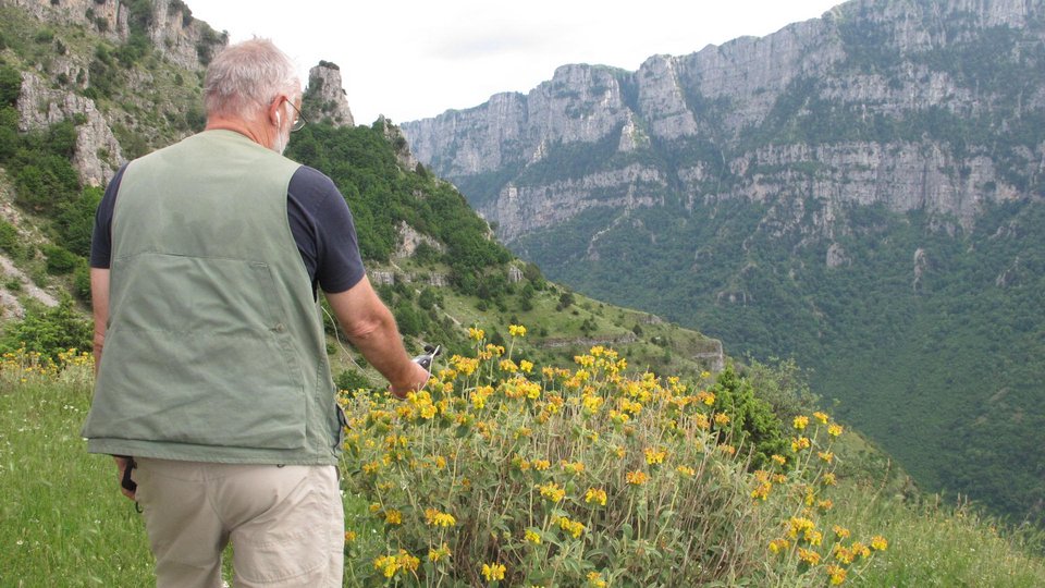 Ο Αγγλος συλλέκτης ήχων του Ζαγορίου