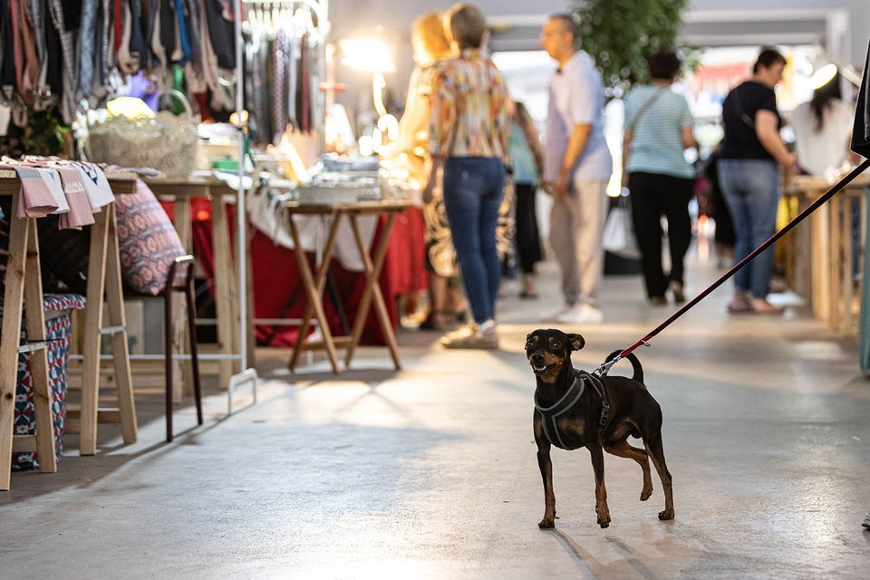 StrayCare Market