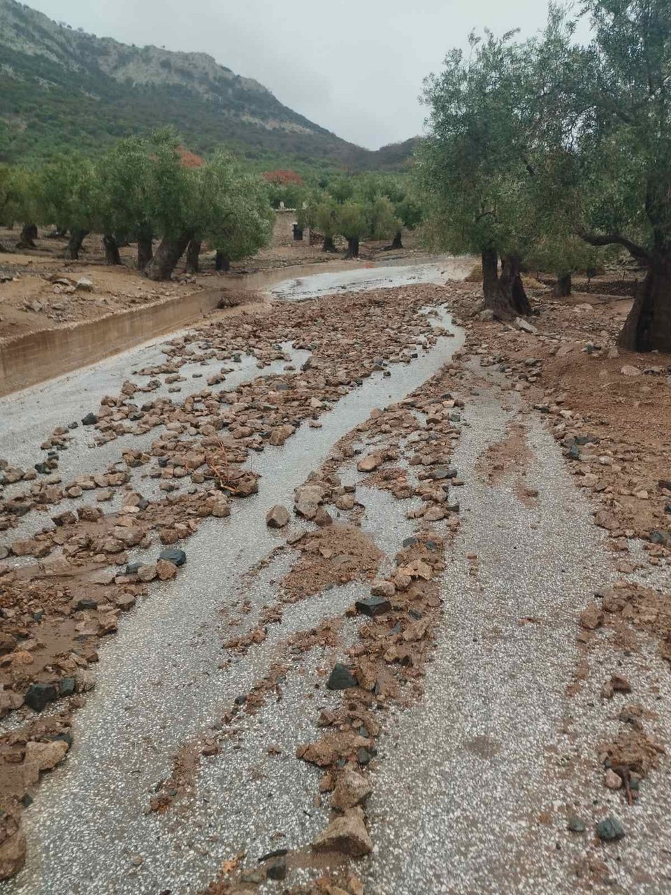 το αγροτικό οδικό δίκτυο της Σαμοθράκης