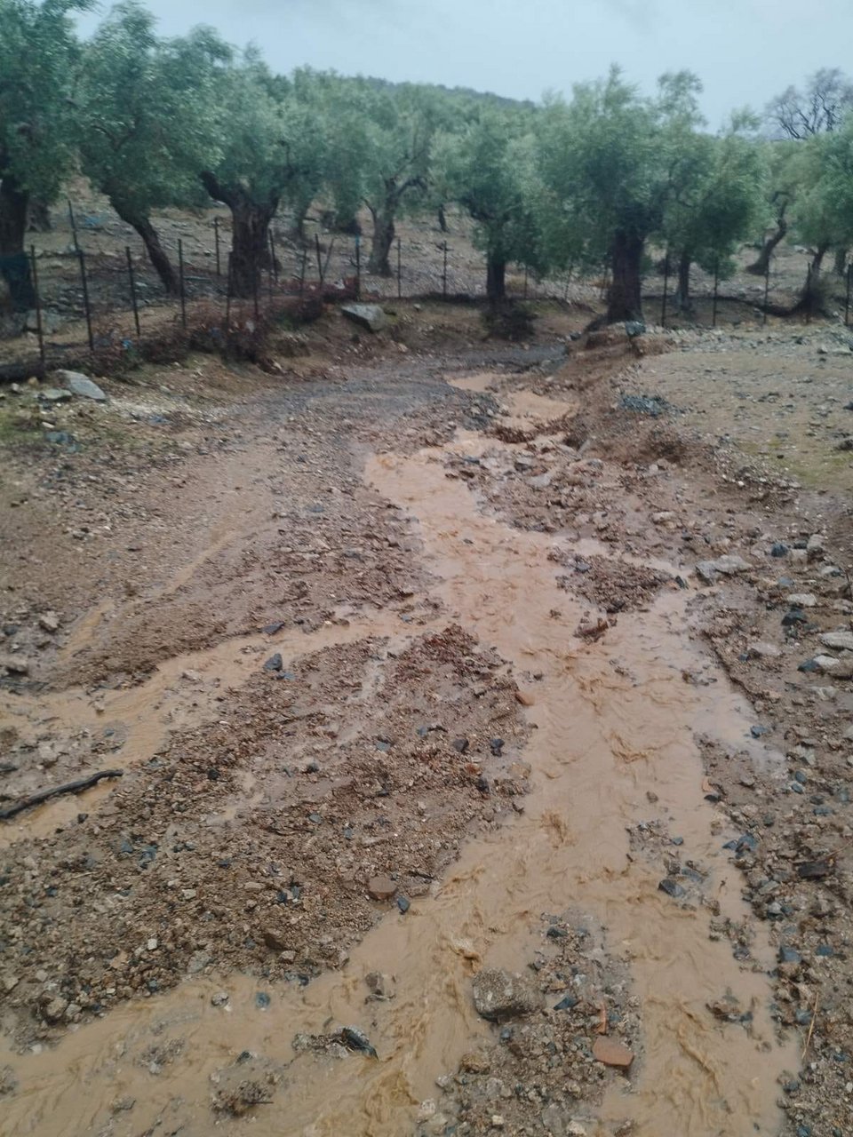 το αγροτικό οδικό δίκτυο της Σαμοθράκης