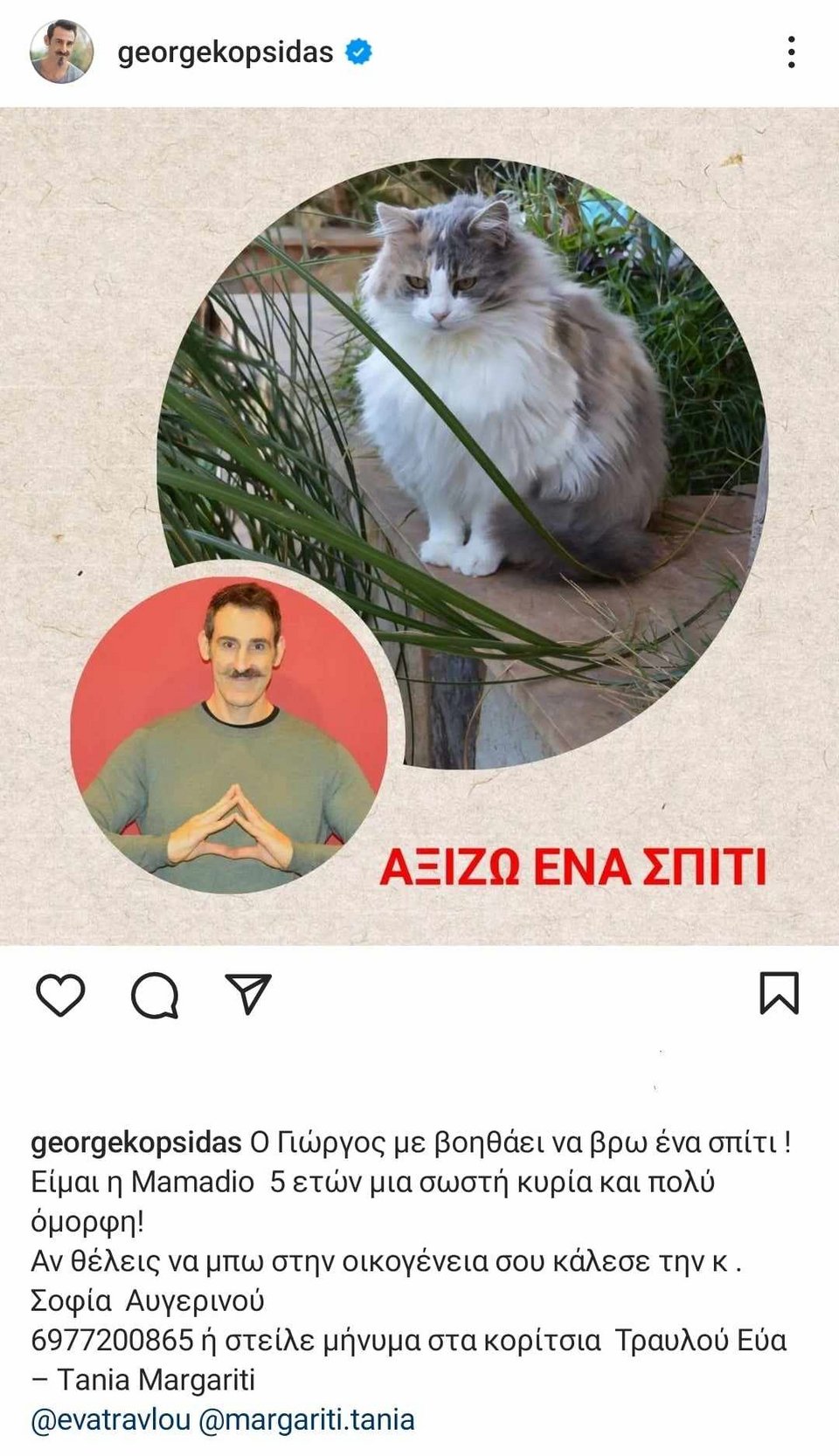 αναρτηση σκυλος