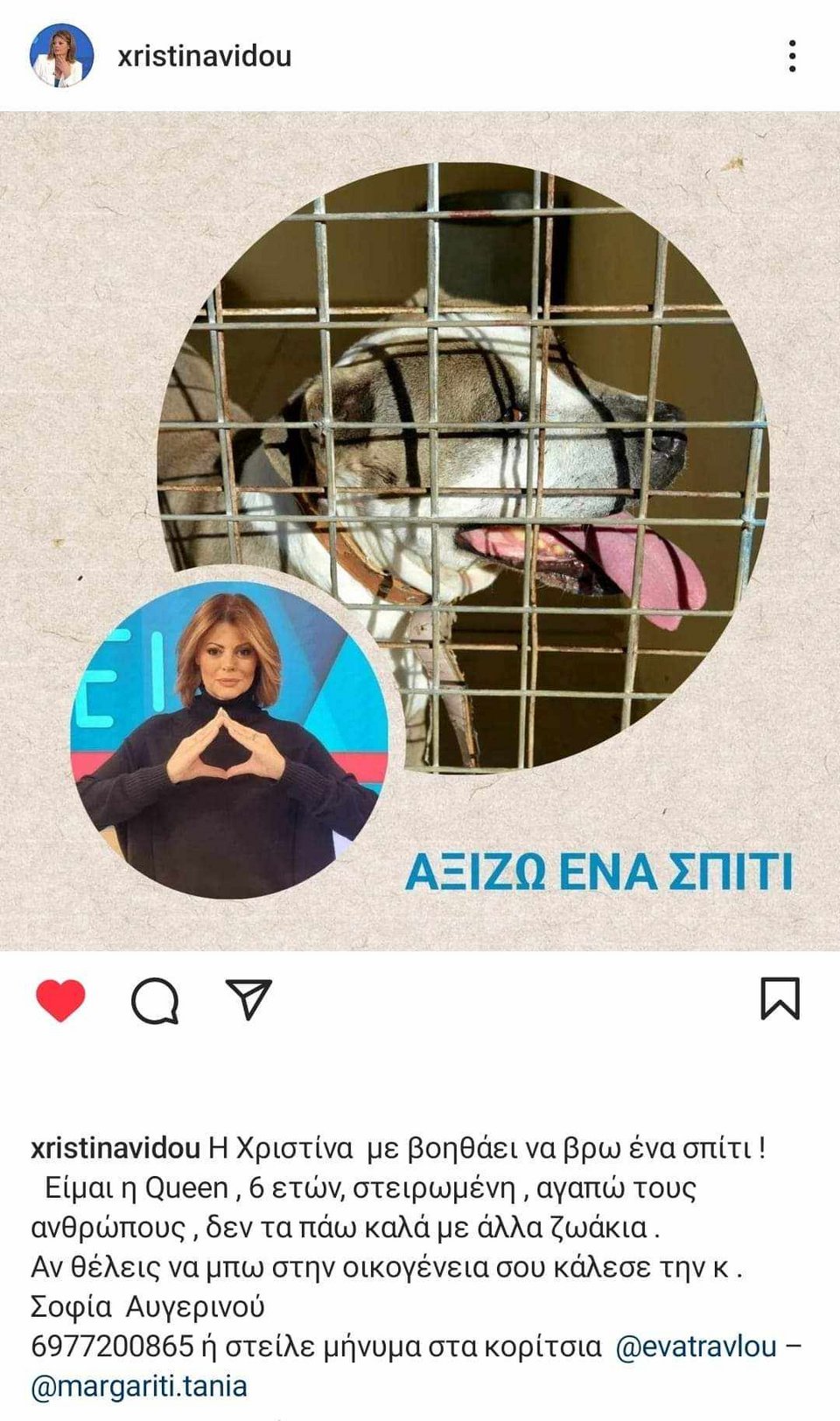 αναρτηση σκυλος
