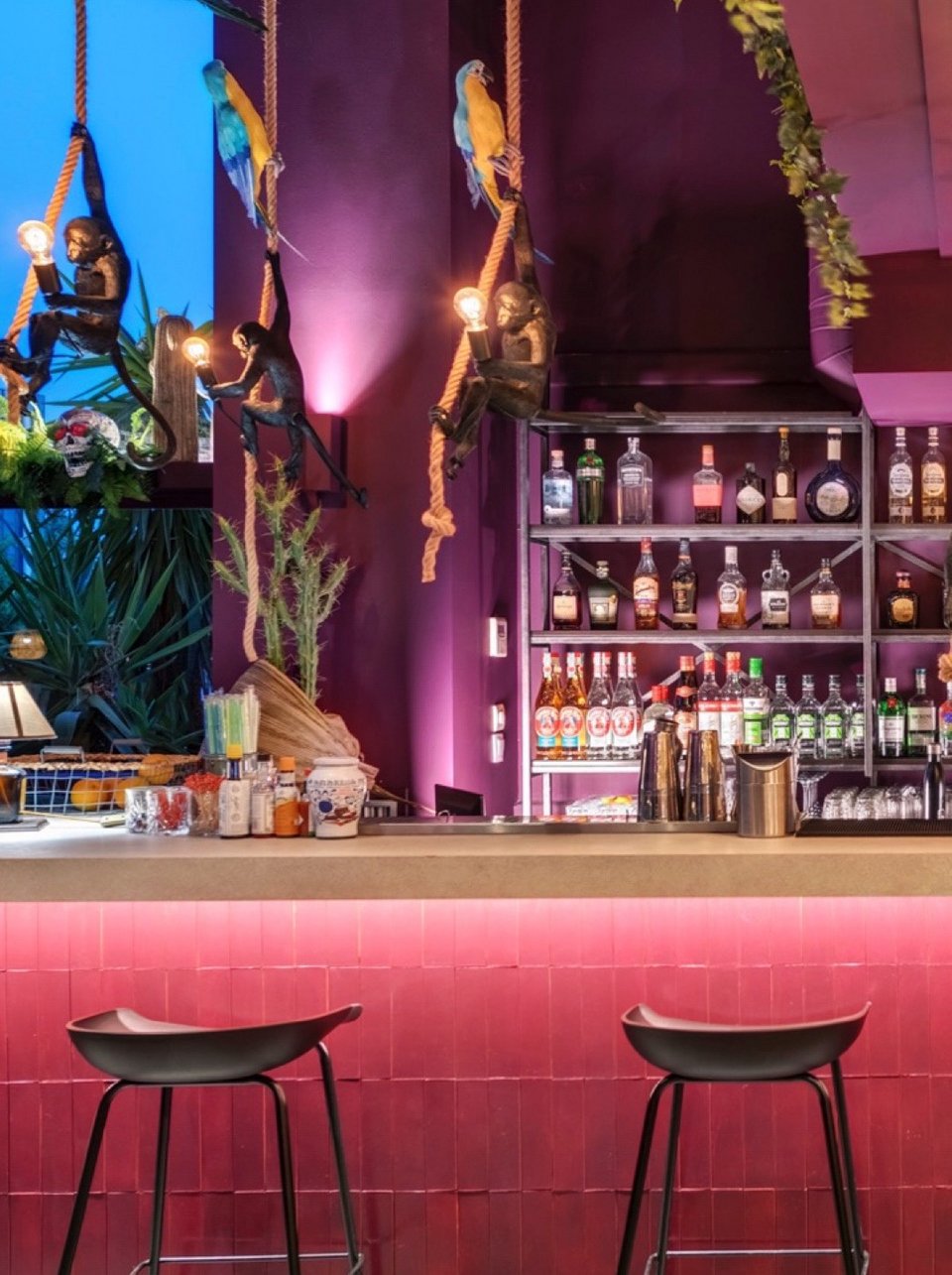 Άποψη από το μπαρ του Mexha. 