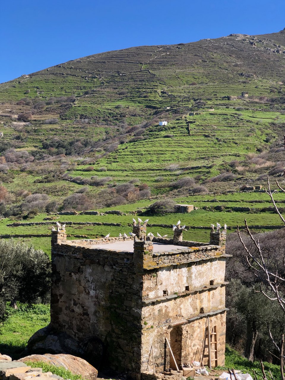 Παλιός περιστεριώνας της Τήνου.