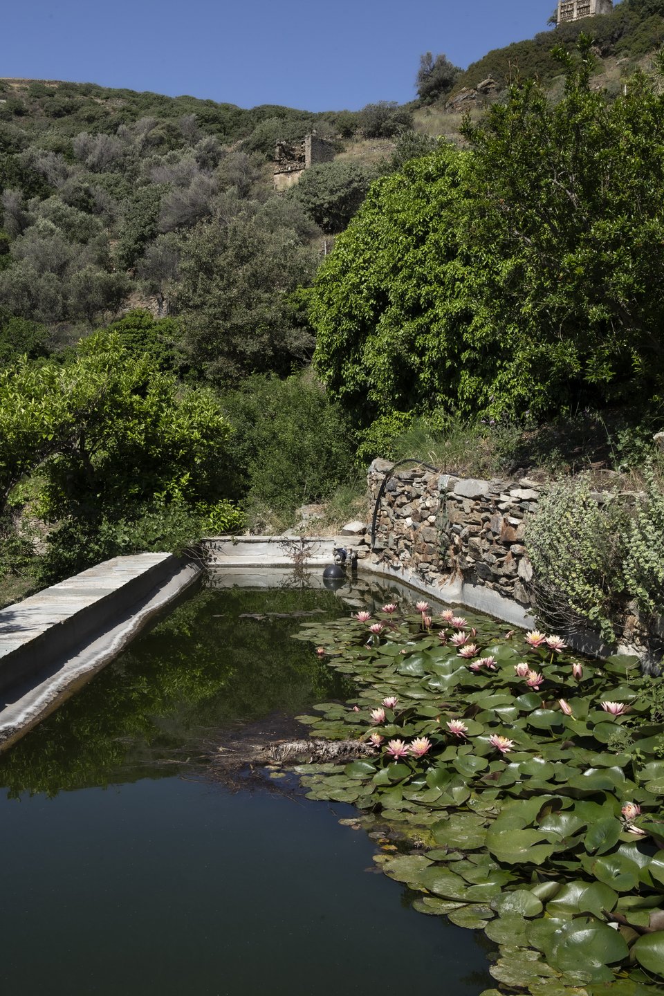 Η τεχνητή λίμνη με τα νούφαρα.