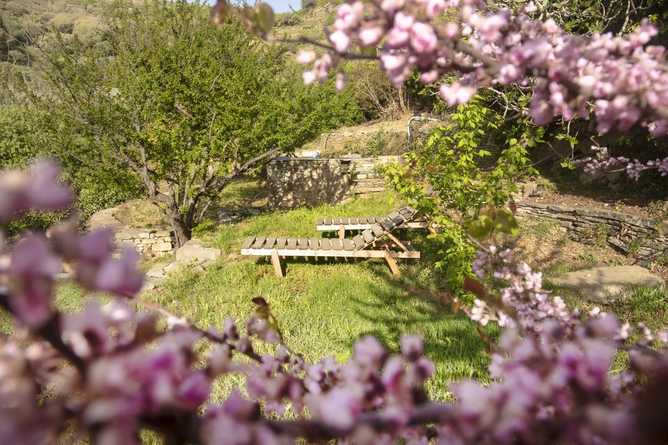 Γωνιά χαλάρωσης δίπλα στα δέντρα του κήπου, στο Under the Linden Tree στη Μεσσαριά της Τήνου.