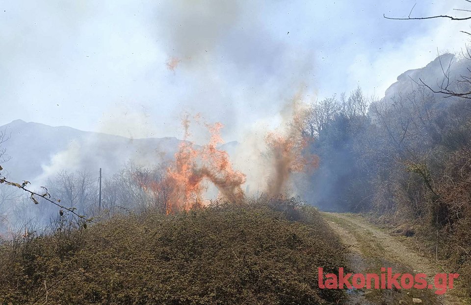 Φωτιά στην περιοχή Άρνα του δήμου Σπάρτης