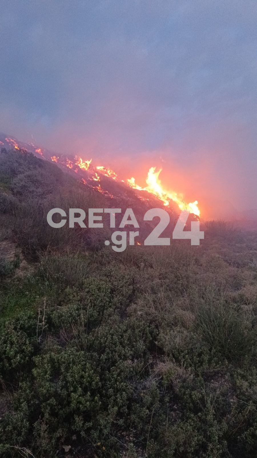 Φωτιά στη Σητεία / creta24.gr