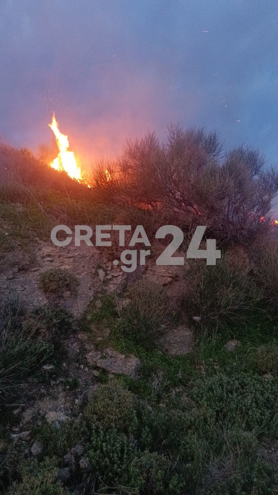 Φωτιά στη Σητεία / creta24.gr