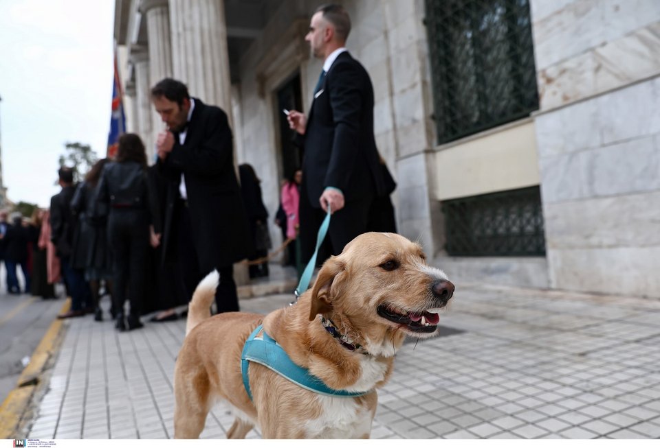 Φωτογραφία: Intimenews/ΛΙΑΚΟΣ ΓΙΑΝΝΗΣ
