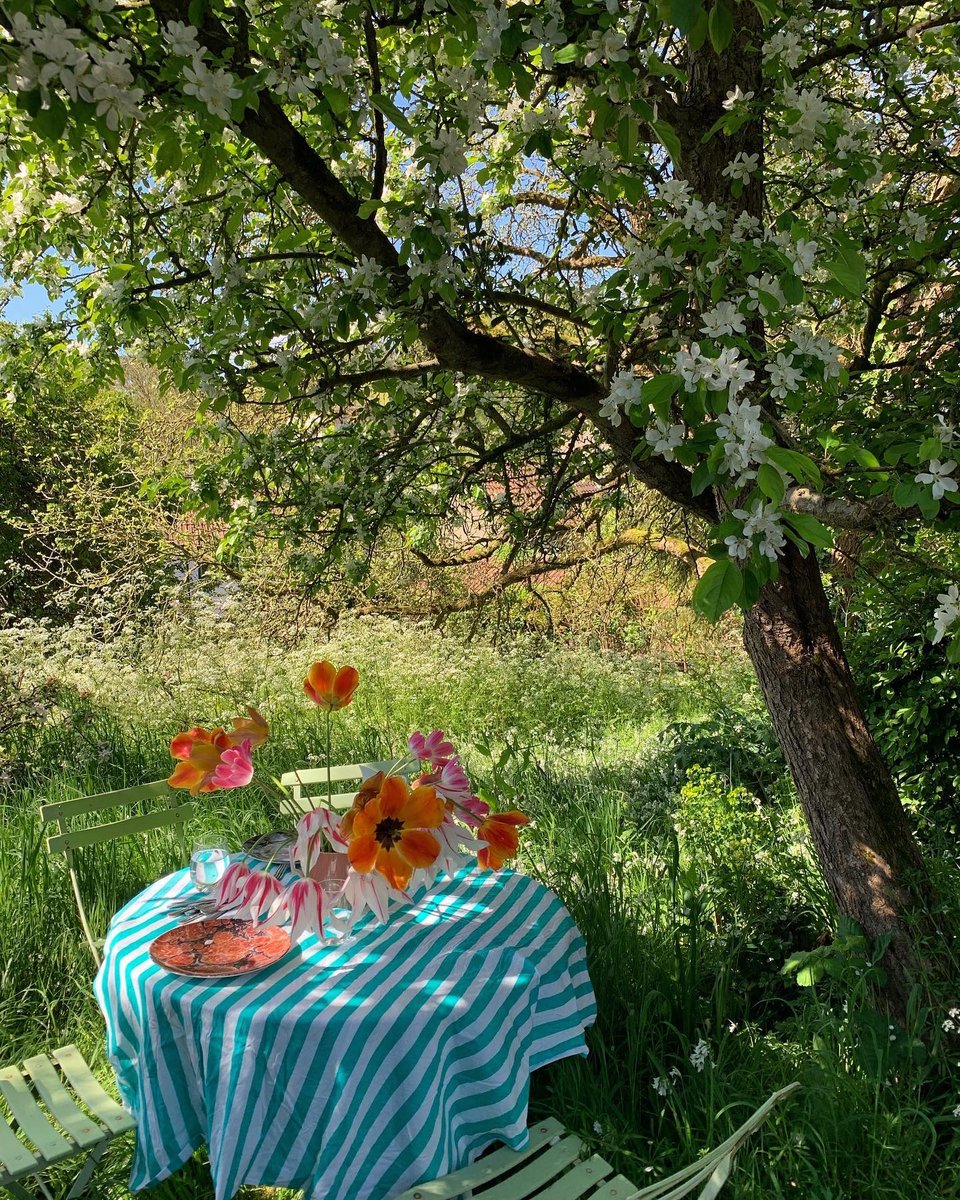 Μια απίθανη γωνιά στον κήπο για τα μικρά γεύματα της ημέρας / Φωτογραφία: sean_anthony_pritchard/Instagram