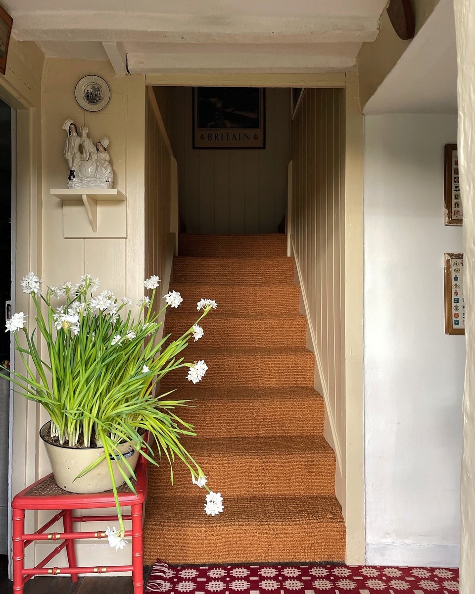 Οι γλάστρες μπαίνουν παντού: ακόμα και πάνω σε μια καρέκλα δίπλα στη σκάλα / Φωτογραφία: sean_anthony_pritchard/Instagram