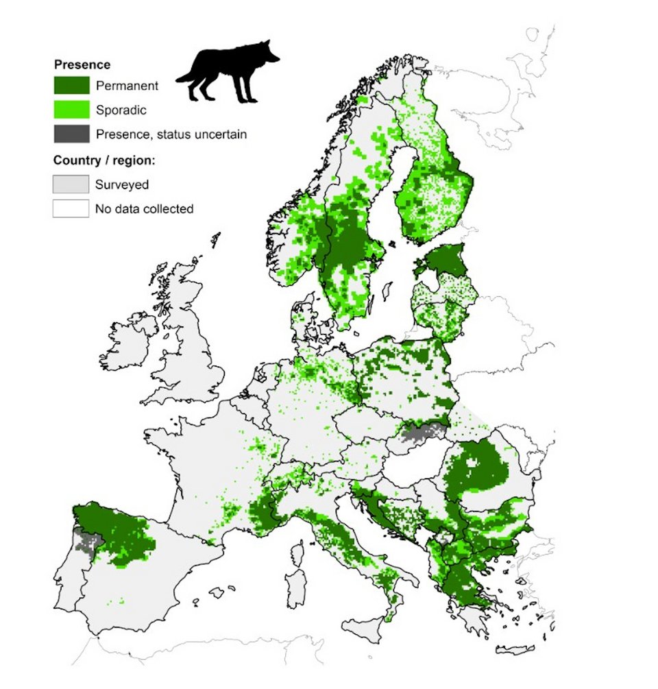 Οι λύκοι στην Ευρώπη