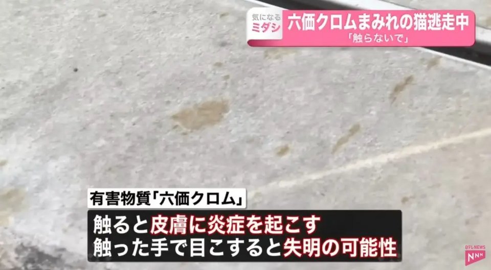 Tα μυστηριώδη κίτρινα χνάρια στο πάρκινγκ του εργοστασίου