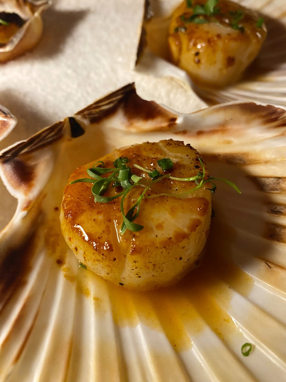 Ψημένα χτένια στον πρωτοποριακό φούρνο josper / Φωτογραφία: Μάνος Λειβαδάρος/iefimerida