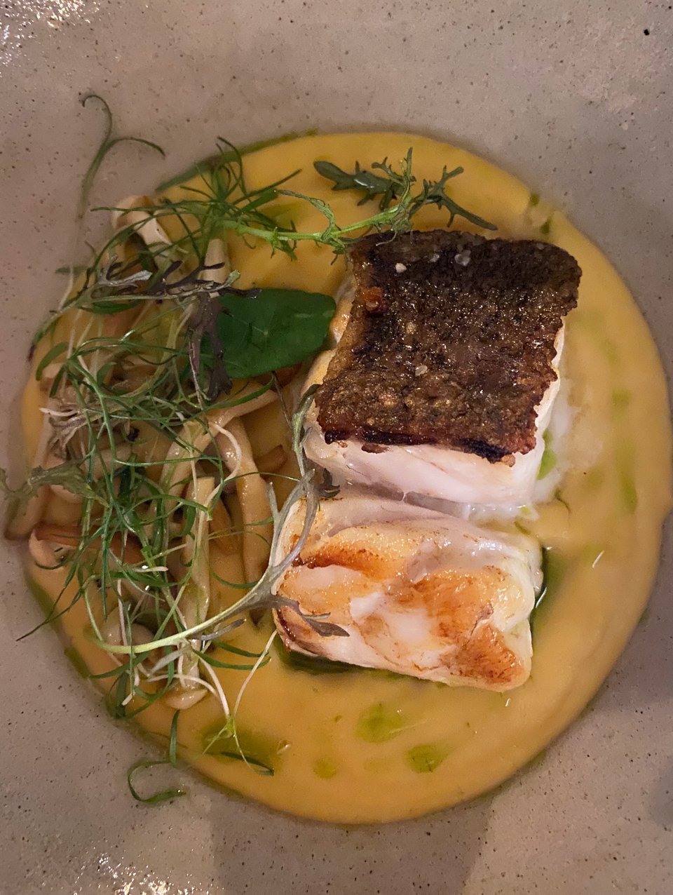 Φαγκρί με παστινάκι / Φωτογραφία: Μάνος Λειβαδάρος/Iefimerida 