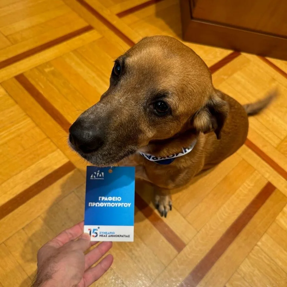 pinat diapistefsi.jpg