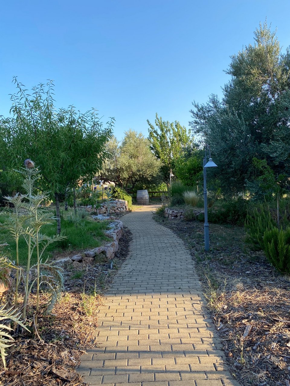 To μονοπάτι που οδηγεί στο εστιατόριο / Φωτογραφία: Μάνος Λειβαδάρος/iefimerida 