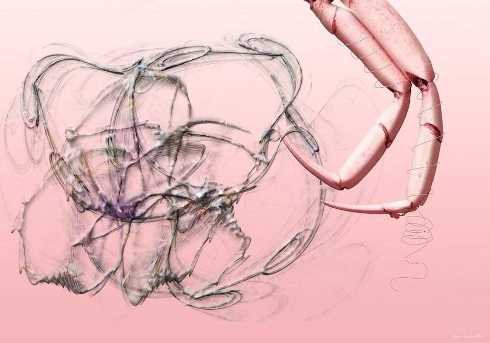 Άννα Αμπαριώτου | Η Τέχνη του να μην κάνεις τίποτα και η παράλληλη πεζοπορία 