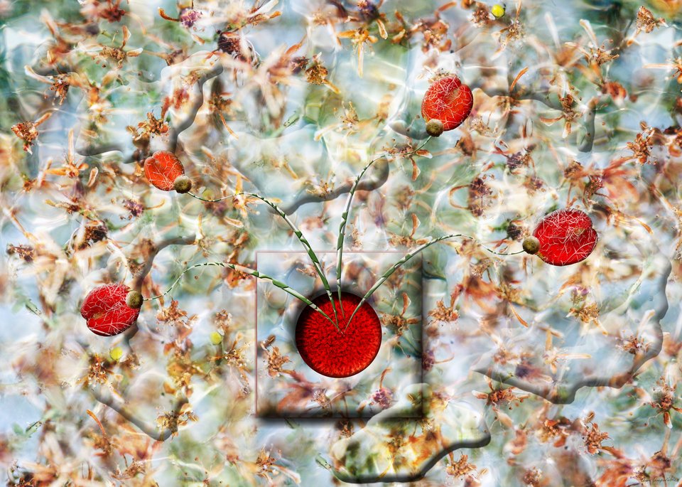 Ένα παράθυρο στο μέτωπο της (2023), 11χρωμη pigment εκτύπωση σε χαρτί fine art Hahnemühle photo luste, 80 x 107 εκ