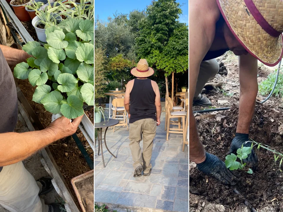 Τα σπορόφυτα καρπουζιάς φυτεύθηκαν από τον Μπάμπη στα μποστάνια μπροστά από το εστιατόριο / Φωτογραφίες: Μάνος Λειβαδάρος/iefimerida
