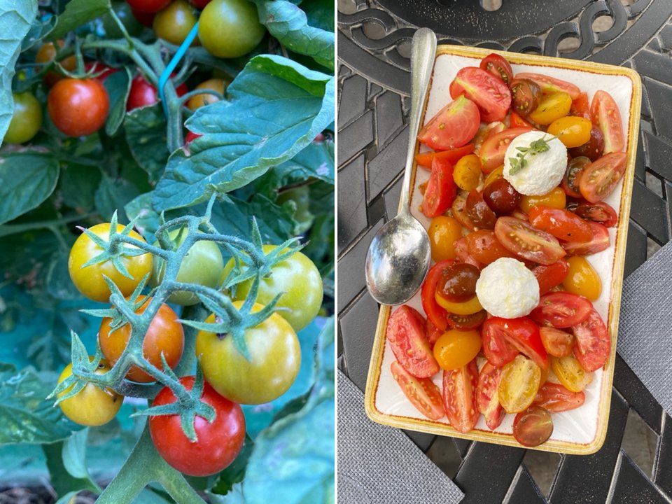 Τα ντοματίνια γίνονται κατευθείαν σαλάτα καλοκαιρινή με μους καπνιστής μελιτζάνας και ξινομυζήθρα / Φωτογραφίες: Μάνος Λειβαδάρος/iefimerida 