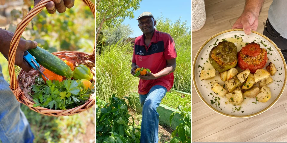 Ο Ντέιβιντ μαζεύει λαχανικά για τα γεμιστά της ημέρας / Φωτογραφίες: Μάνος Λειβαδάρος/iefimerida