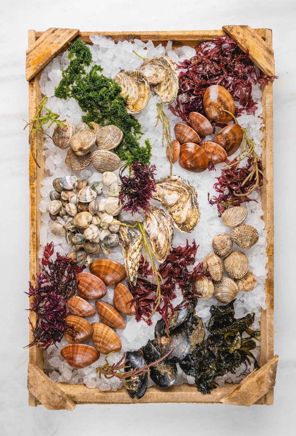 Θαλασσινά σε ξύλινο τελάρο στο εστιατόριο «Παπαϊωάννου» 