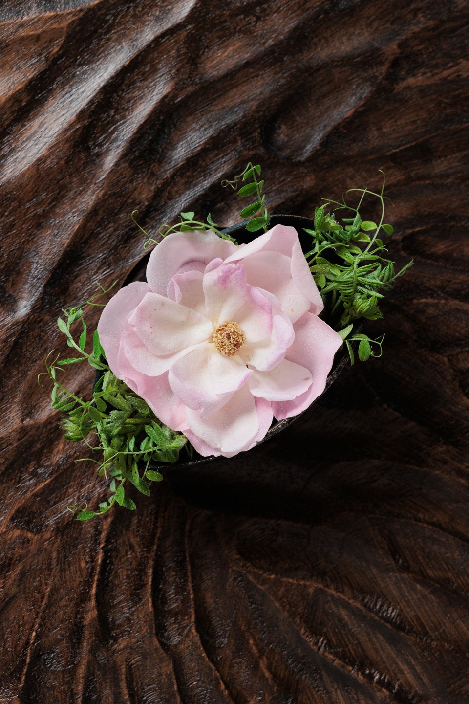 Ψητές καλόγνωμες μαριναρισμένες σε goji από φάβα και τριαντάφυλλο στο Delta Restaurant / Φωτογραφία: @Zak Viemon