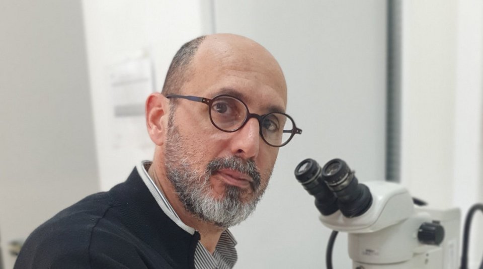 Ο Δρ. Αντώνιος Μιχαηλάκης, Ερευνητής- Εντομολόγος στο Μπενάκειο Φυτοπαθολογικό Ινστιτούτο (ΜΦΙ) και Αν. Μέλος του Δ.Σ. του ΕΟΔΥ