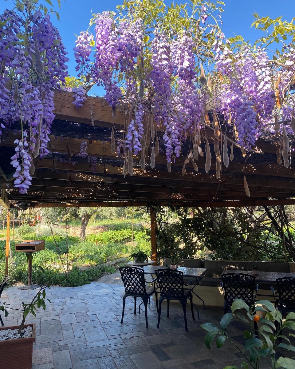 Άποψη από τη σκιερή πέργκολα / Φωτογραφία: Μάνος Λειβαδάρος/iefimerida