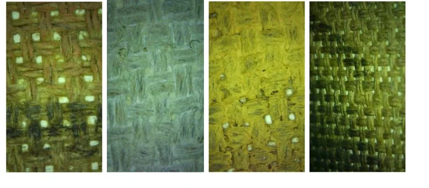 Φωτογραφία με ψηφιακό μικροσκόπιο