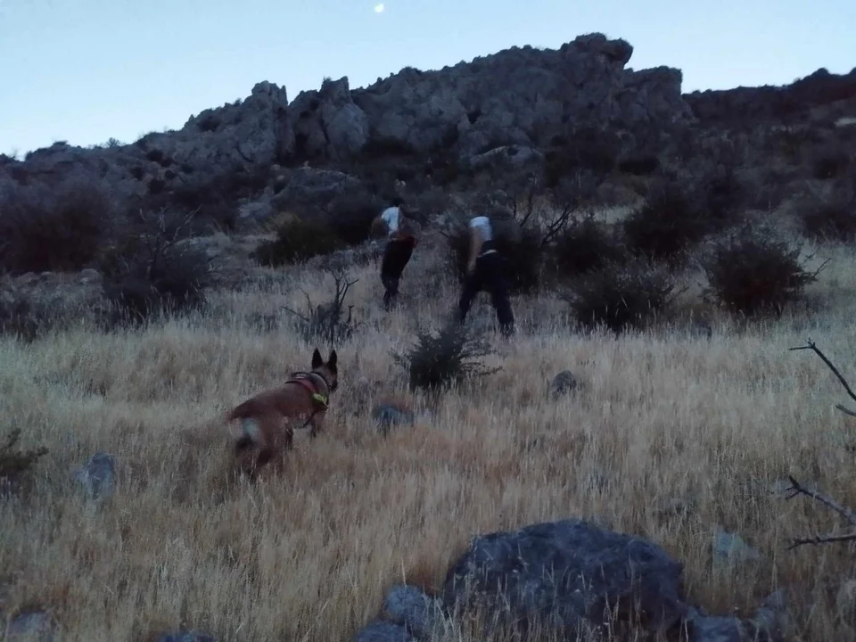 447972576 771241175121541 1431168882361903785 n.jpg