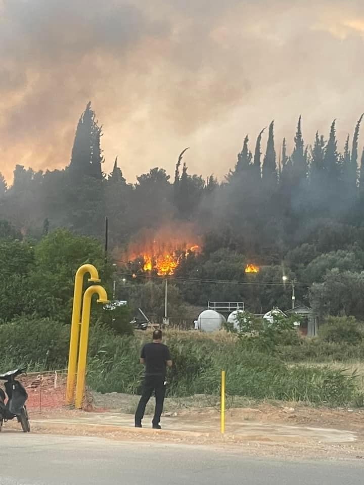 Φωτιά στη Λιβαδειά / Φωτογραφία: Facebook