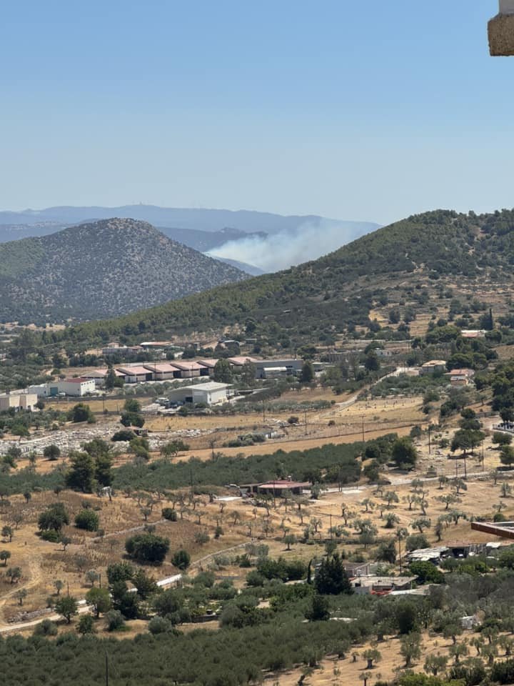 Φωτιά στην Αργολίδα