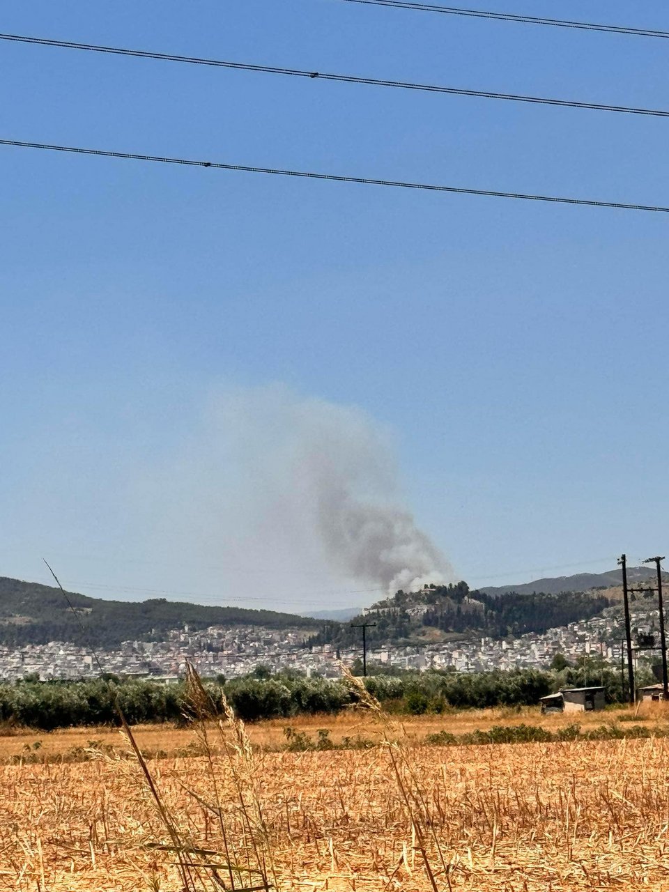 Φωτιά στη Λαμία / Φωτογραφία: Facebook