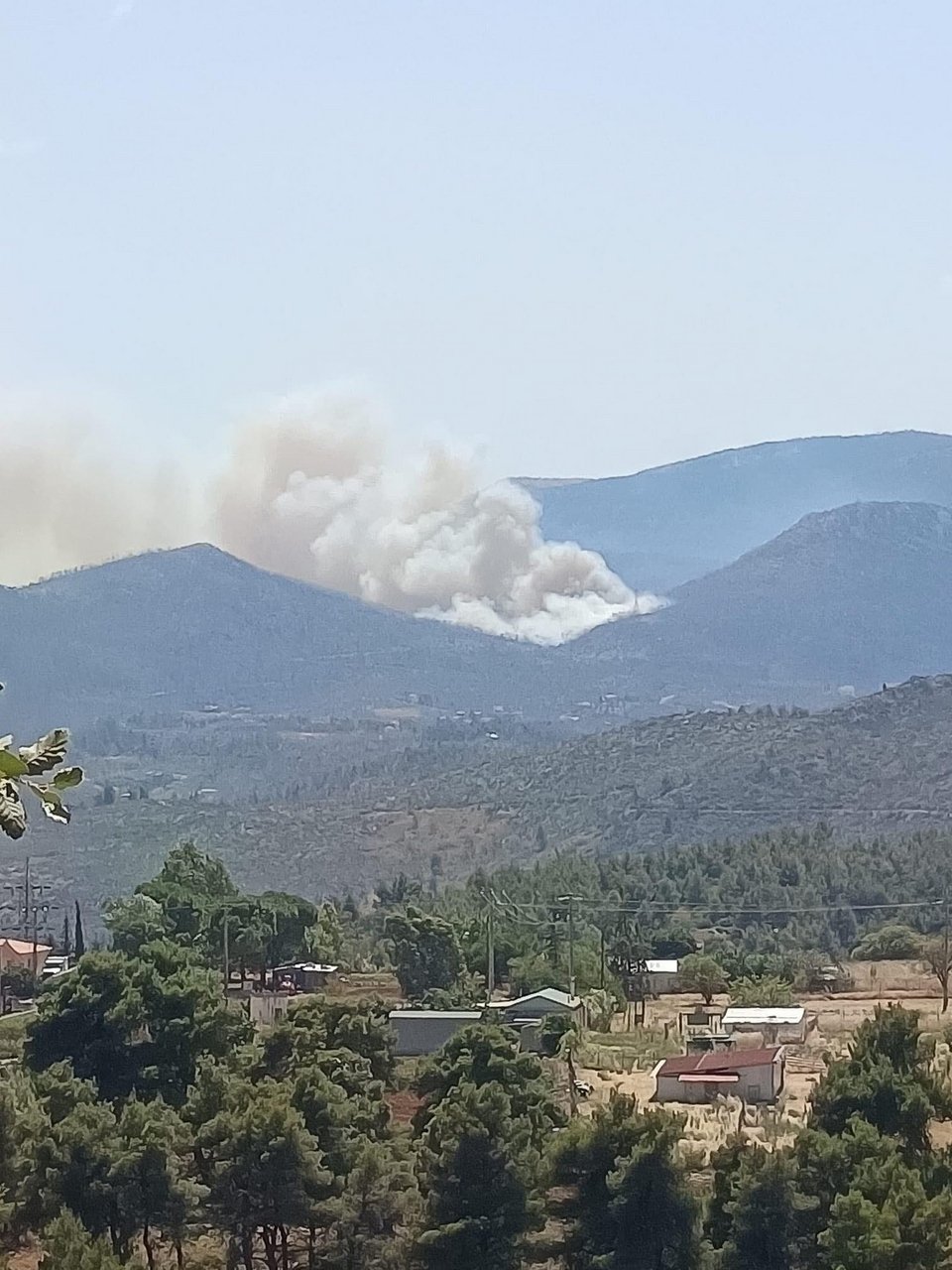 FireNews Greece
